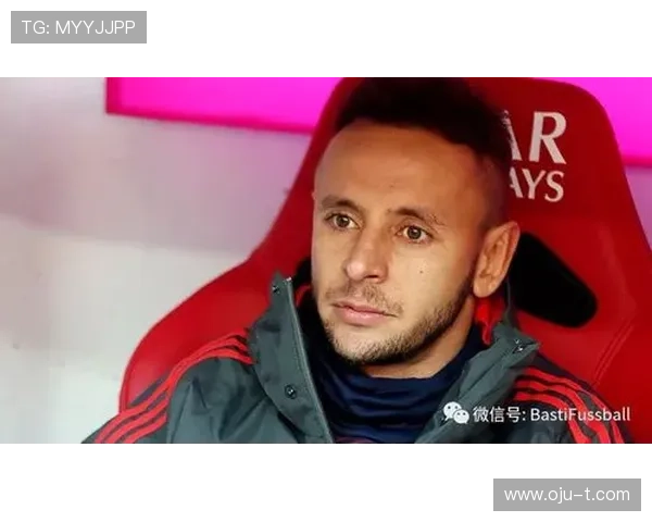 贝尔纳拉菲尼克里斯滕合练回归